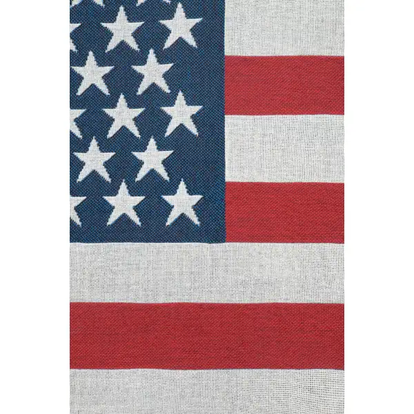 American Flag II