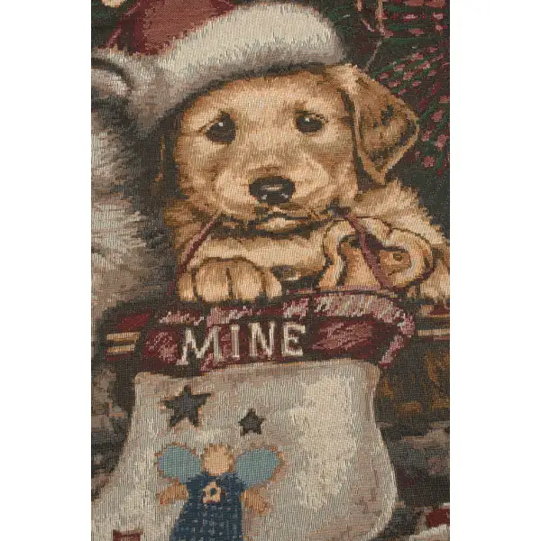 Christmas Stocking Puppies North America throws