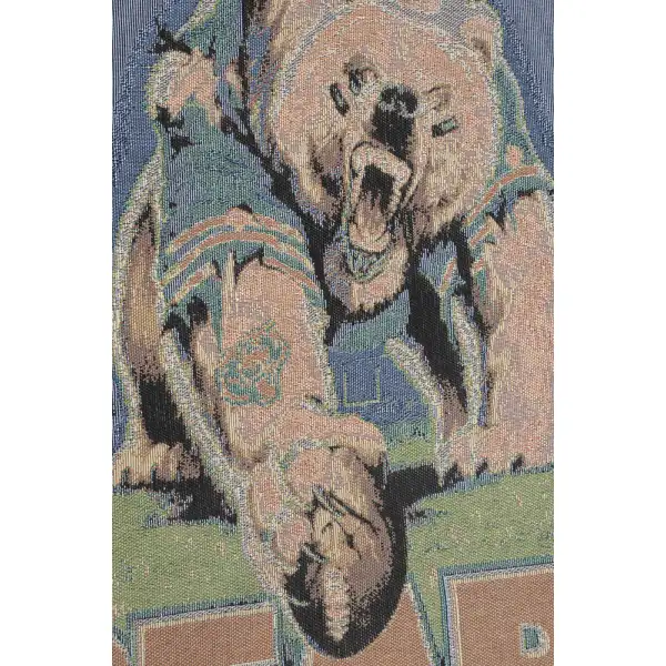 Chicago Bears North America throws