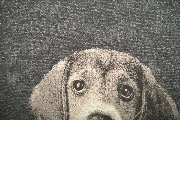 Puppy Dog Eyes II tapestry pillows