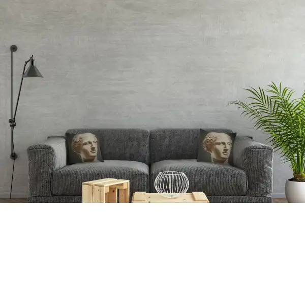 Venus Grey couch pillows