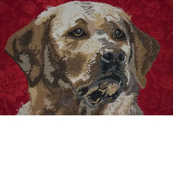 Labrador Red Belgian Cushion Cover | Close Up 2
