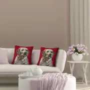 Labrador Red Belgian Cushion Cover | Life Style 2