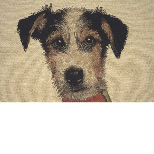 Percival Terrier Green Belgian Cushion Cover | Close Up 2
