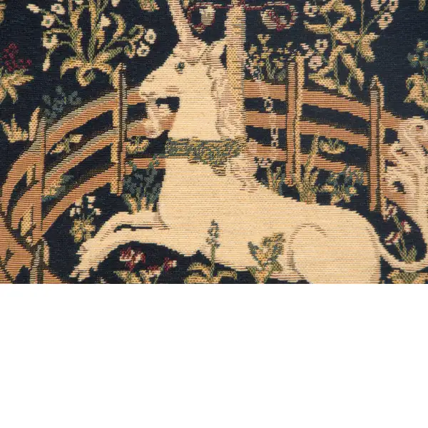 Captive Unicorn I tapestry pillows