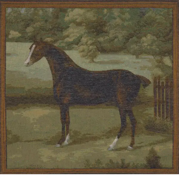Black Horse Cushion Equestrian