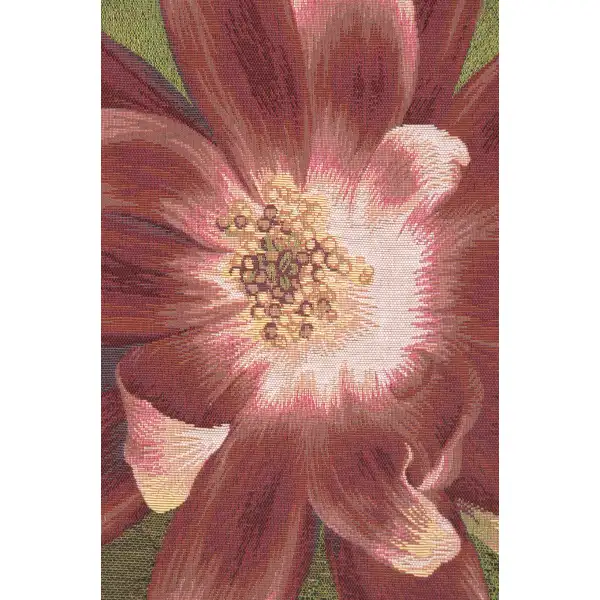 Red Star Flower by Charlotte Home Furnishings