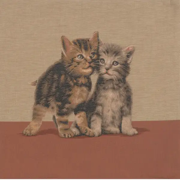 Two Kittens european pillows