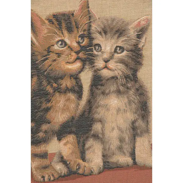 Two Kittens decorative pillows