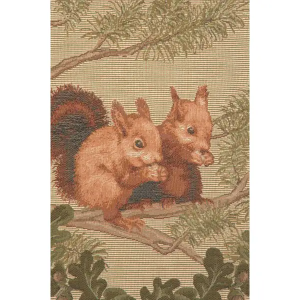 Squirrels decorative pillows