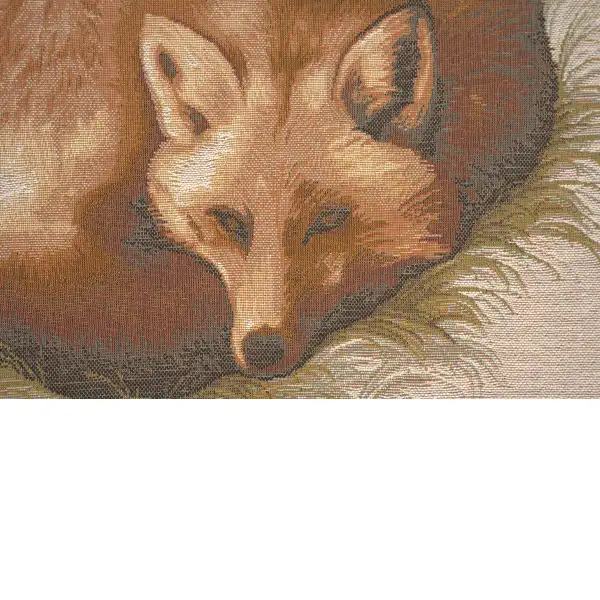 Fox Cushion - 19 in. x 19 in. Cotton by Charlotte Home Furnishings | Close Up 2