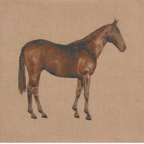 Horse Light 1 Cushion Equestrian