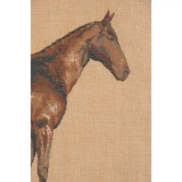 Horse Light I Cushion - 19 in. x 19 in. Cotton by Charlotte Home Furnishings | Close Up 2
