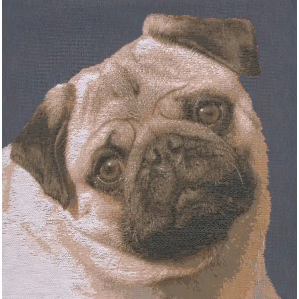 Pugs Face Blue Cushion Dogs & Cats