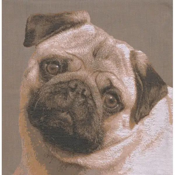 Pugs Face Grey  Cushion Dogs & Cats