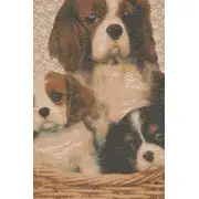 Cavalier King Charles Family Cushion - 19 in. x 19 in. Cotton by Charlotte Home Furnishings | Close Up 2