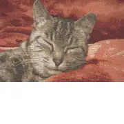 Sleeping Cat Red I Cushion | Close Up 2