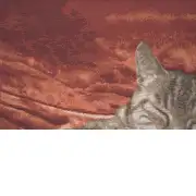 Sleeping Cat Red I Cushion | Close Up 4