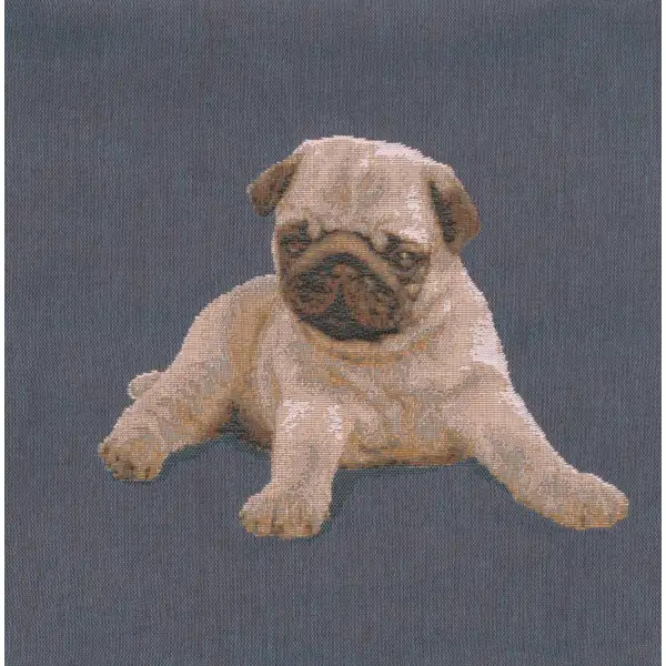 Puppy Pug Blue Cushion Dogs & Cats