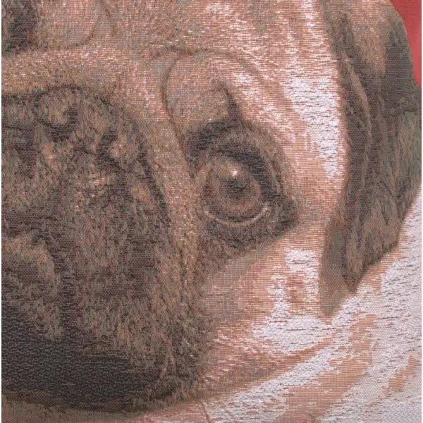 Pugs Face Red Cushion - 14 in. x 14 in. Cotton by Charlotte Home Furnishings | Close Up 1