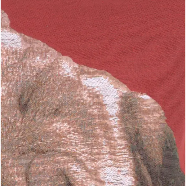 Pugs Face Red Cushion - 14 in. x 14 in. Cotton by Charlotte Home Furnishings | Close Up 2