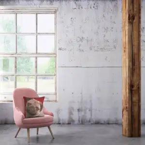 Pugs Face Red  Cushion