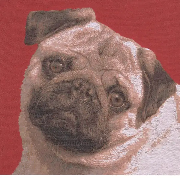 Pugs Face Red I Cushion Dogs & Cats