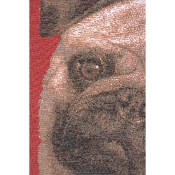 Pugs Face Red I decorative pillows