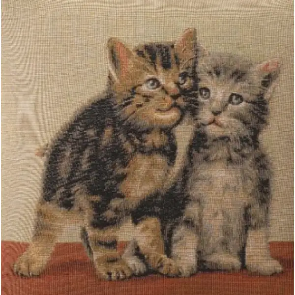 Two Kittens I Cushion - 14 in. x 14 in. Cotton by Charlotte Home Furnishings | Close Up 1