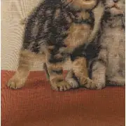 Two Kittens I Cushion - 14 in. x 14 in. Cotton by Charlotte Home Furnishings | Close Up 2