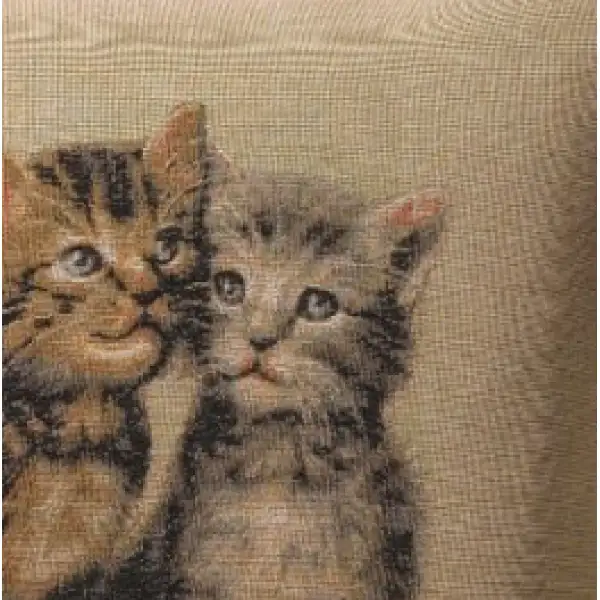 Two Kittens I Cushion - 14 in. x 14 in. Cotton by Charlotte Home Furnishings | Close Up 3