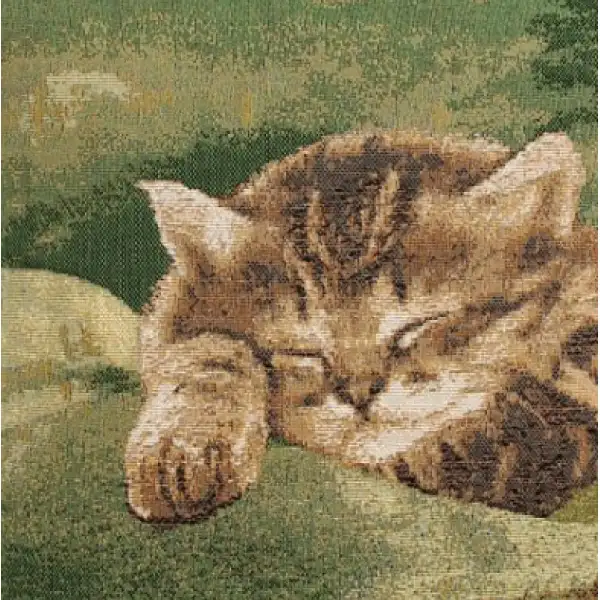 Sleeping Cat Green Cushion - 14 in. x 14 in. Cotton by Charlotte Home Furnishings | Close Up 1