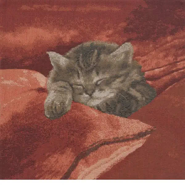 Sleeping Cat Red II Cushion - 14 in. x 14 in. Cotton by Charlotte Home Furnishings | Close Up 1
