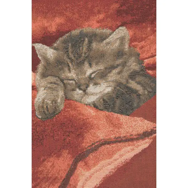 Sleeping Cat Red II Cushion - 14 in. x 14 in. Cotton by Charlotte Home Furnishings | Close Up 2