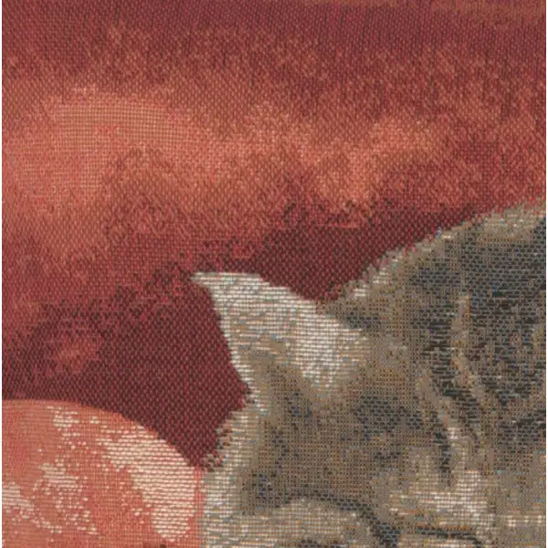 Sleeping Cat Red II Cushion - 14 in. x 14 in. Cotton by Charlotte Home Furnishings | Close Up 3