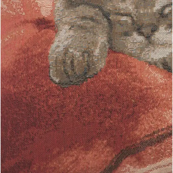 Sleeping Cat Red II Cushion - 14 in. x 14 in. Cotton by Charlotte Home Furnishings | Close Up 4