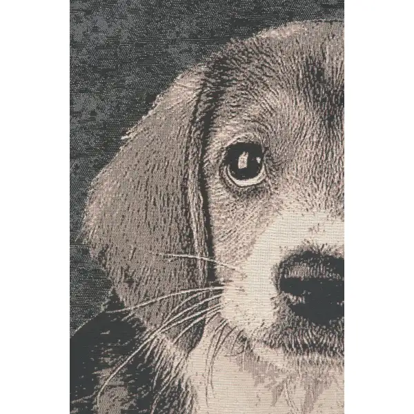 Puppy Dog Eyes tapestry stretched