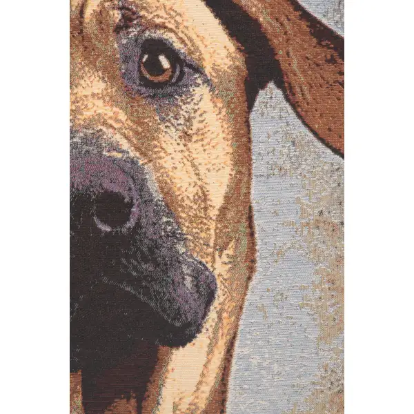 Soft Eyes Stretched Wall Tapestry Dogs & Cats