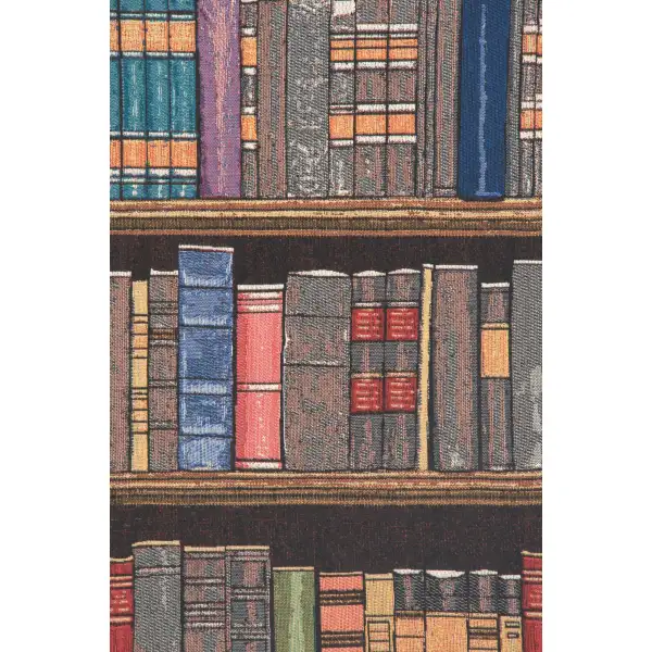 Plethora of Books tapestry stretched