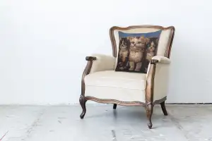 Purrfect Company Decorative Floor Pillow Cushion Cover