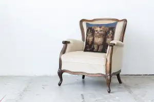 Purrfect Company Couch Pillow