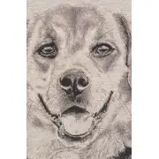Happy Canine II Couch Pillow - 16 in. x 16 in. Cotton/Viscose/Polyester by Alessia Cara | Close Up 2