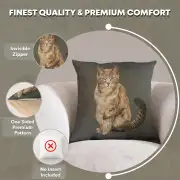 Tabby Cat Sitting Dark Grey Cushion - 19 in. x 19 in. Cotton by Charlotte Home Furnishings | Feature