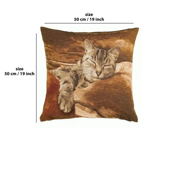 Sleeping Cat Brown I Cushion | 19x19 in