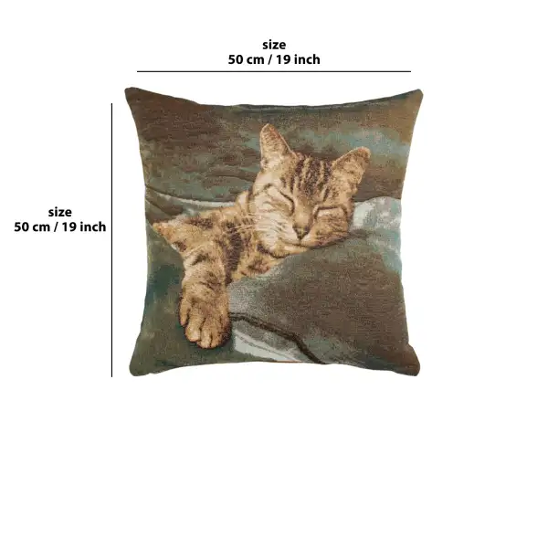 Sleeping Cat Blue 1 Cushion | 19x19 in