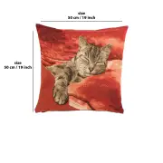 Sleeping Cat Red I Cushion | 19x19 in