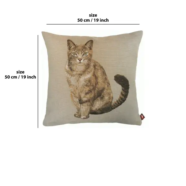 Tabby Cat Sitting Light Grey  Cushion | 19x19 in