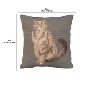 Tabby Cat Sitting Dark Grey Cushion - 19 in. x 19 in. Cotton by Charlotte Home Furnishings | 19x19 in