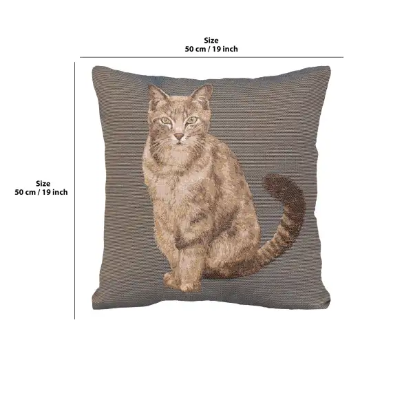 Tabby Cat Sitting Dark Grey cushion covers