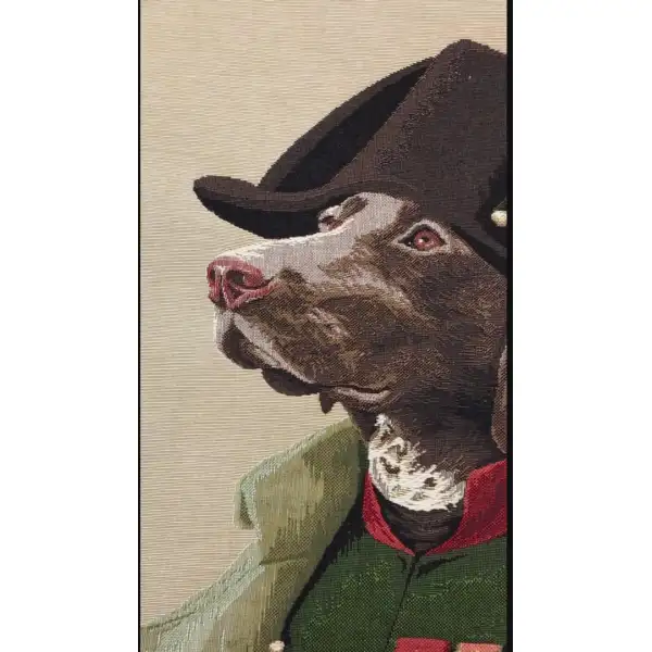Chien Napoleon cushion covers